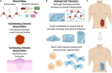 Hydrogel Figure 1